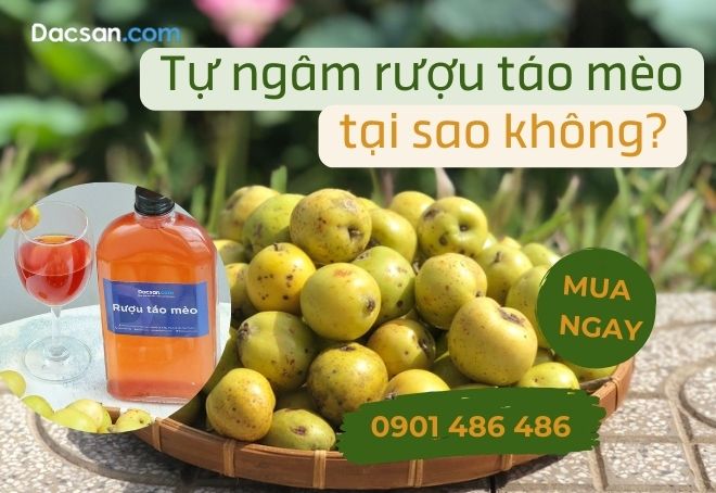 Quả táo mèo ngâm rượu có trên trang Đặc Sản Dacsan.com. Quả táo mèo ngâm rượu có trên trang Đặc Sản Dacsan.com.