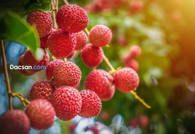 Quả vải, loại quả yêu thích trong mùa hè cũng nằm trong danh sách này!